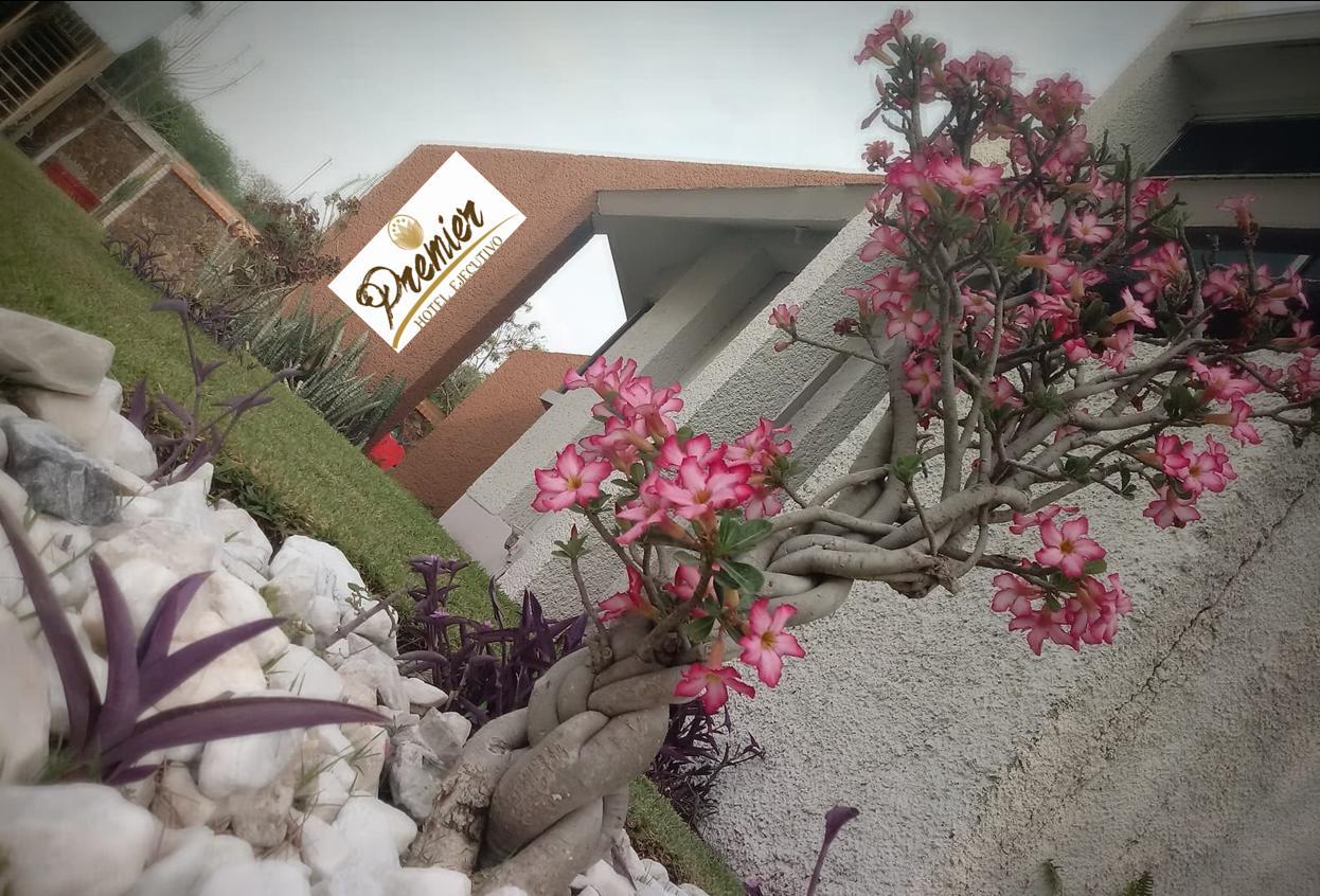 Hotel Premier Río Verde Dış mekan fotoğraf